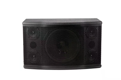10 Inch 3-Way 250W Professional PA Speaker (Pair)