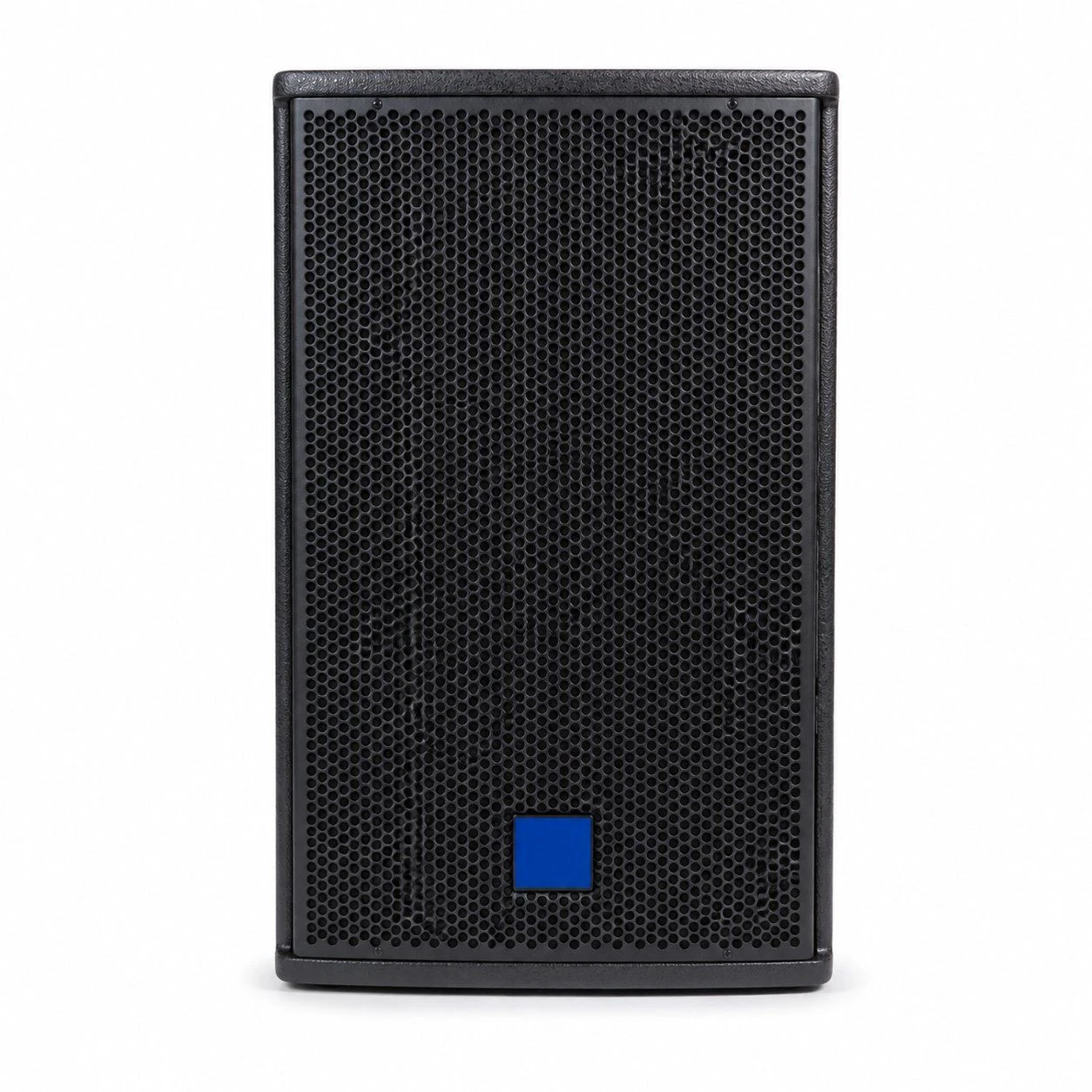 10 Inch Passive 2-Way PA Speaker Professional Audio for Meeting Rooms