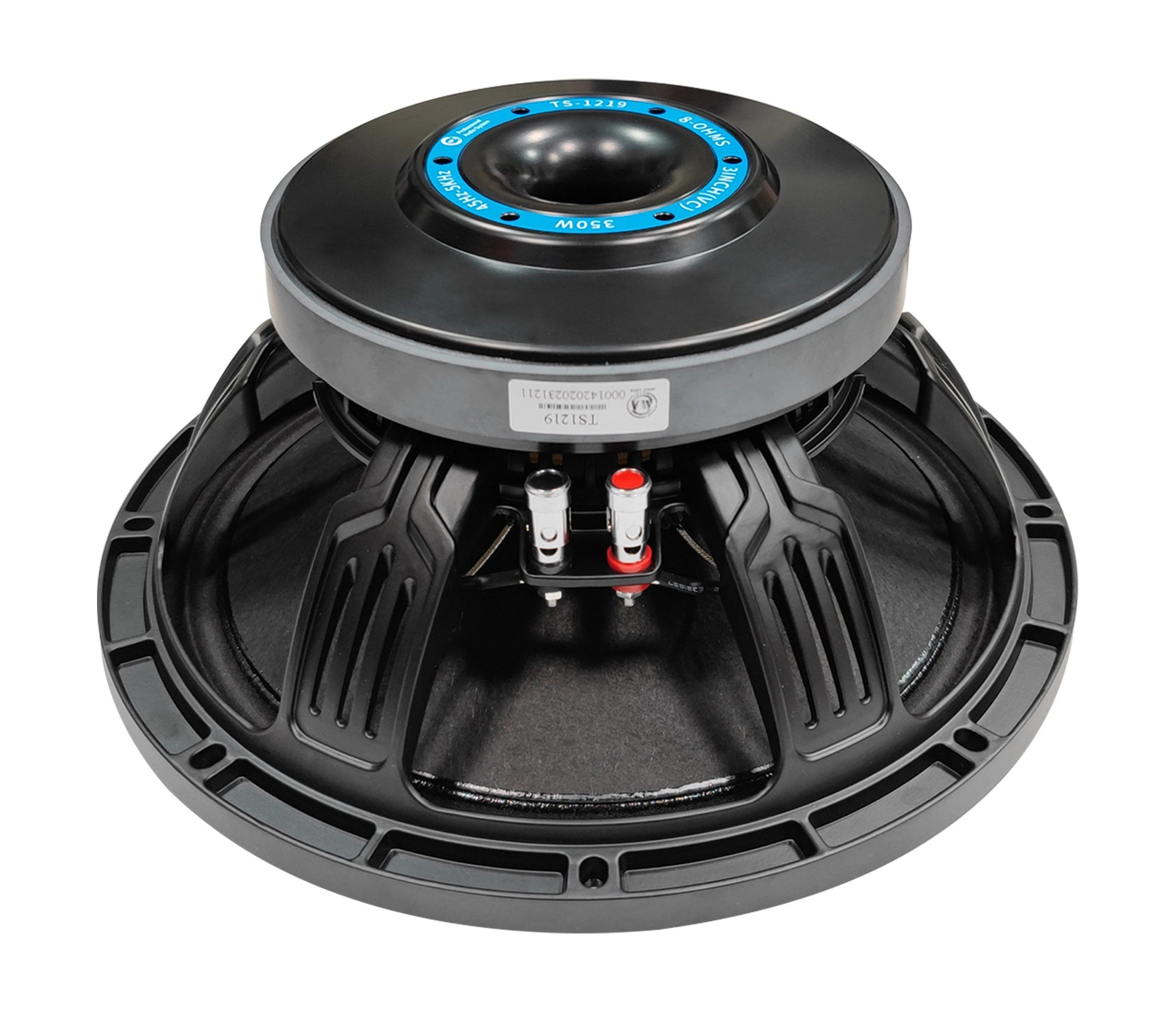 10 Inch Woofer Speaker Professional Loudspeaker, New Model PA Speaker System Manufacturer