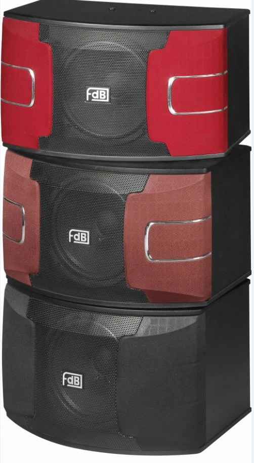 10″ Professional Karaoke Speaker System