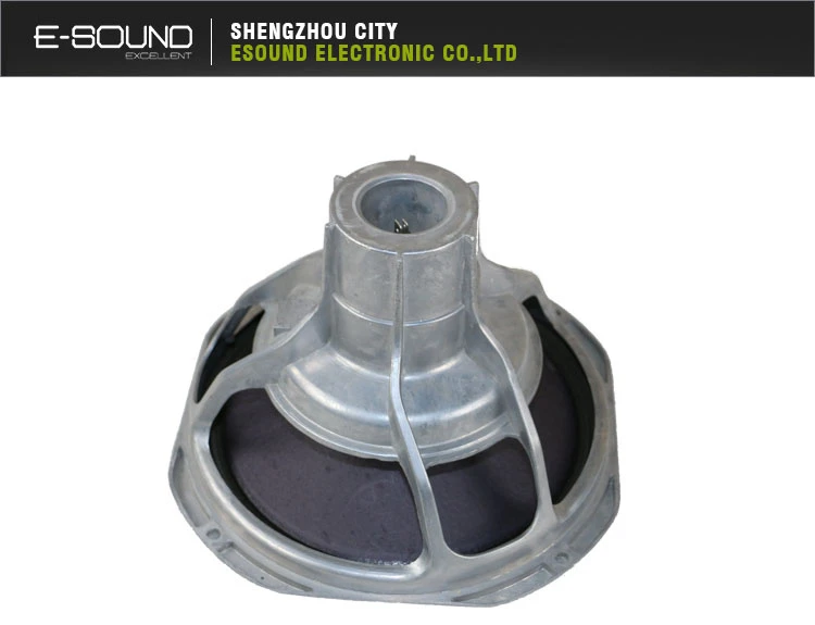 10″ Woofer Speaker