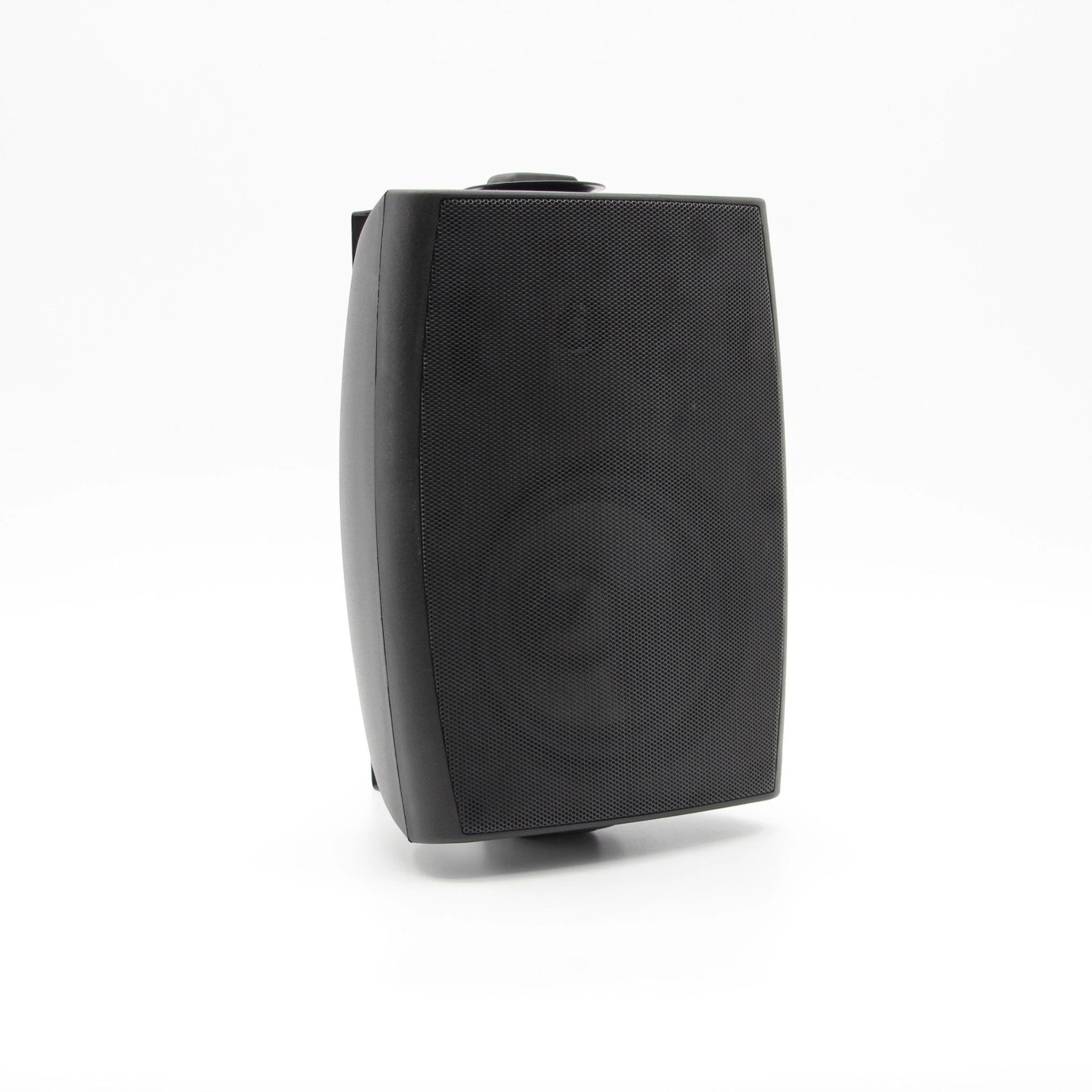 100V 30W Fedility Wall Speaker