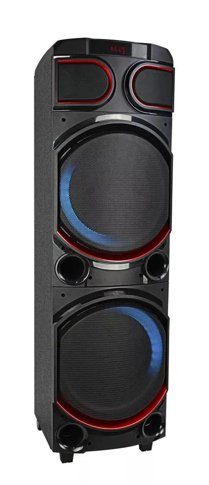 100W Double 10 Inch Battery Party Speakers Karaoke Wooden Cabinet Portable Speakers with Woofer+Tweeter