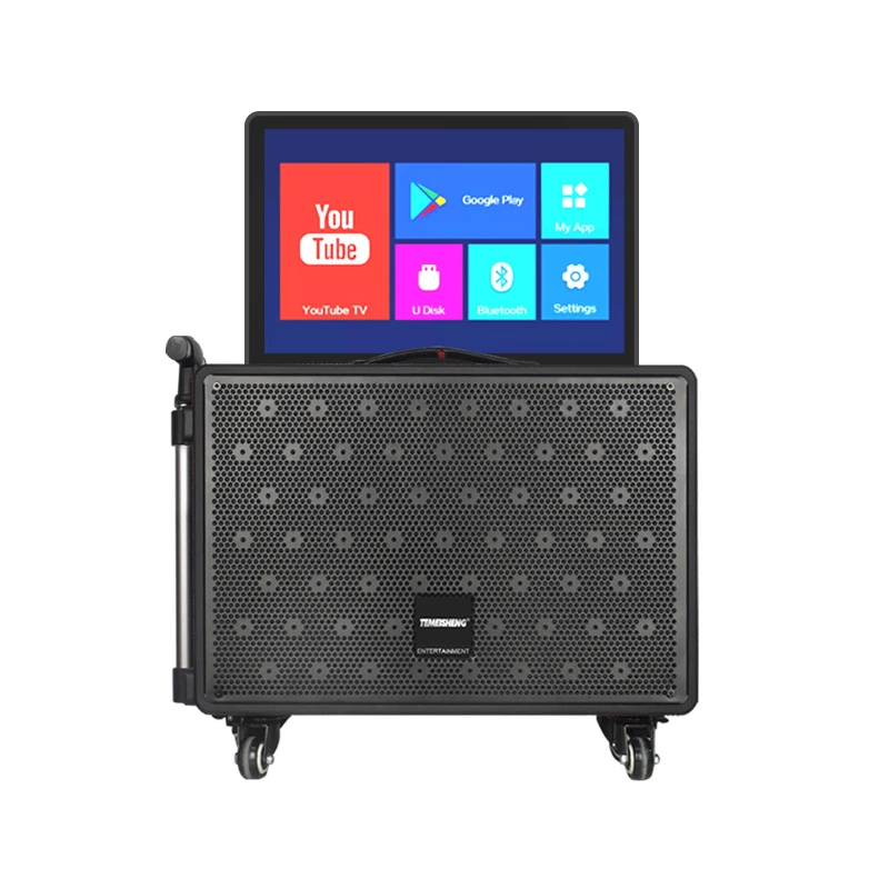 100W High Power Output Bt Speaker for Karaoke with 6.5 Inch Touch Screen 10 Inch Woofer Bluetooth Wireless Portable Speaker
