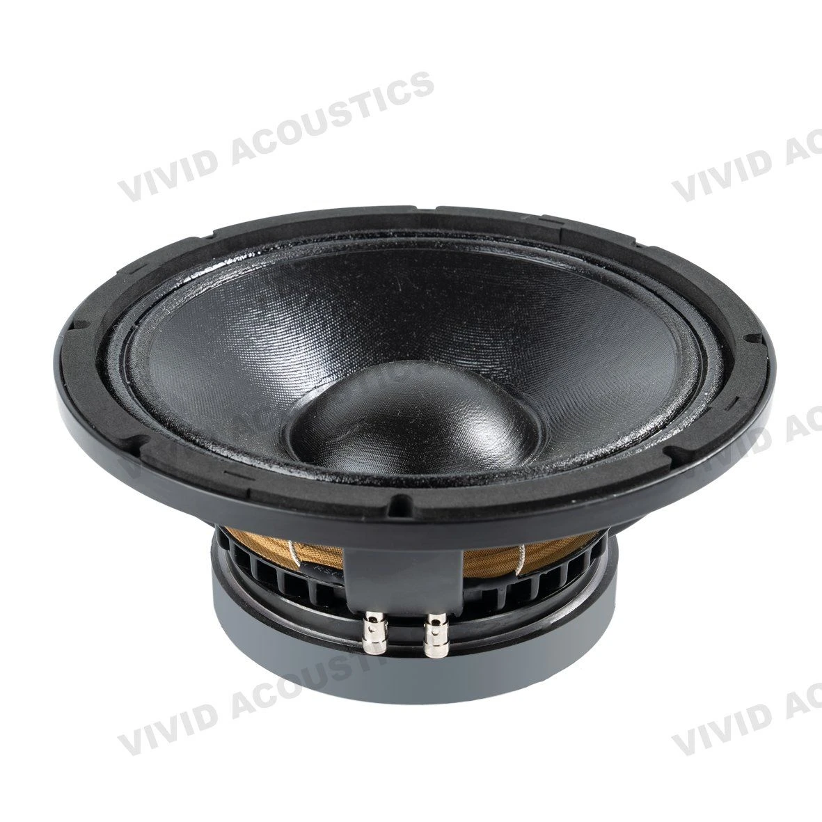 10W65-8xh 10 Inch Ferrite Woofer with 300W Power