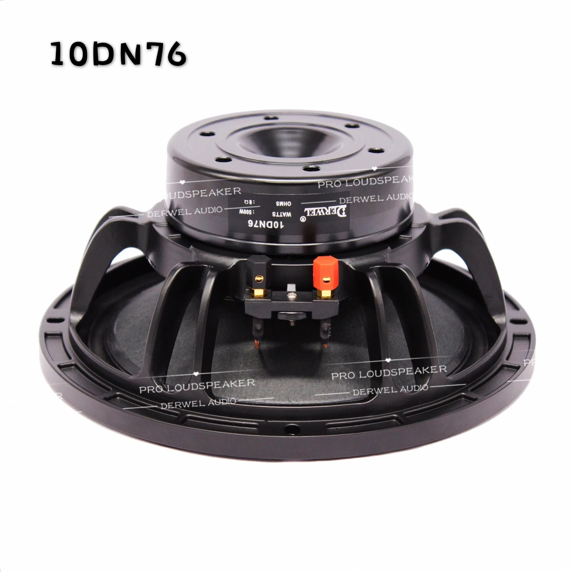 10inch Neodymiumspeaker for line array with Polish, line array speaker