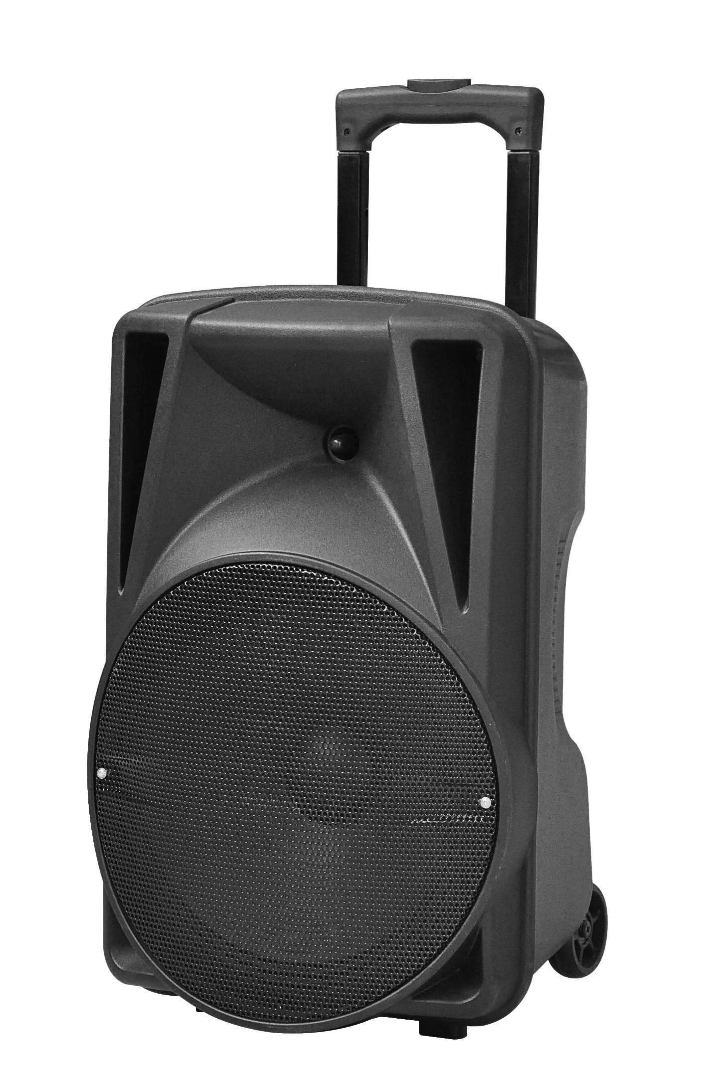 12 15 Inch 2 Microphone Bluetooth USB Trolly Speaker