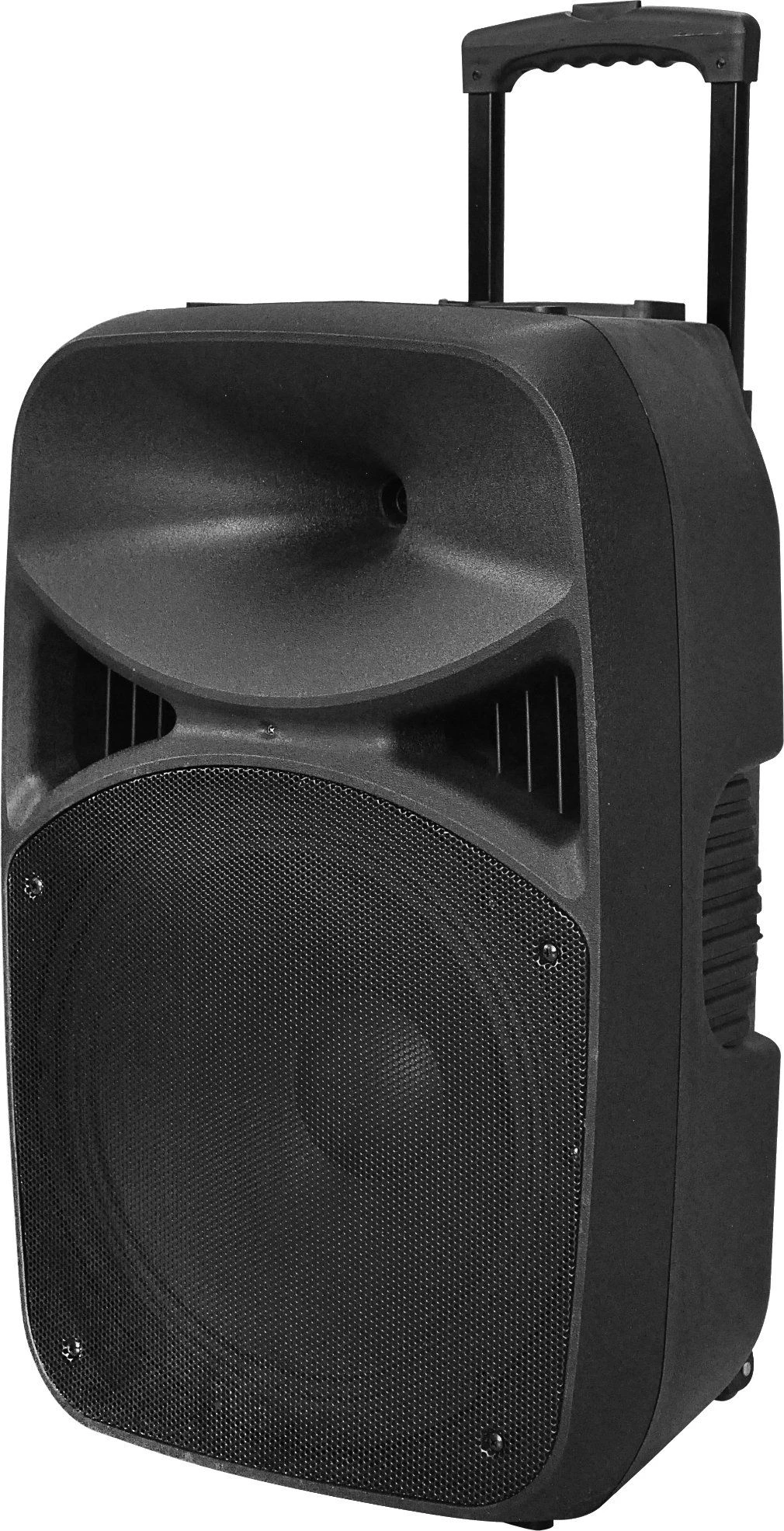 12 15 Inch Bluetooth Sound Box USB Active Portable Speaker