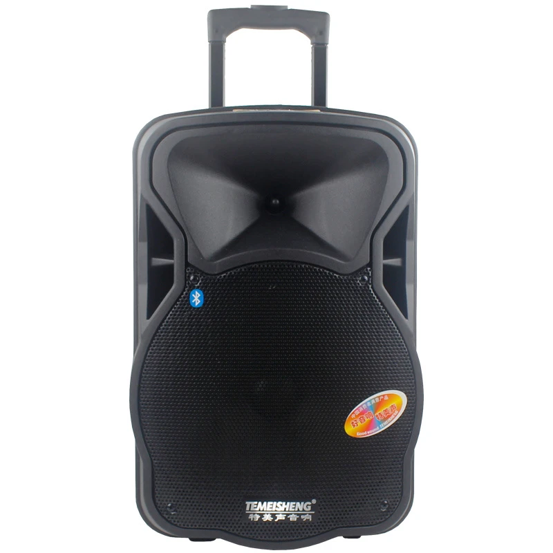 12 Inch PA Speaker with Bluetooth 60W Speaker
