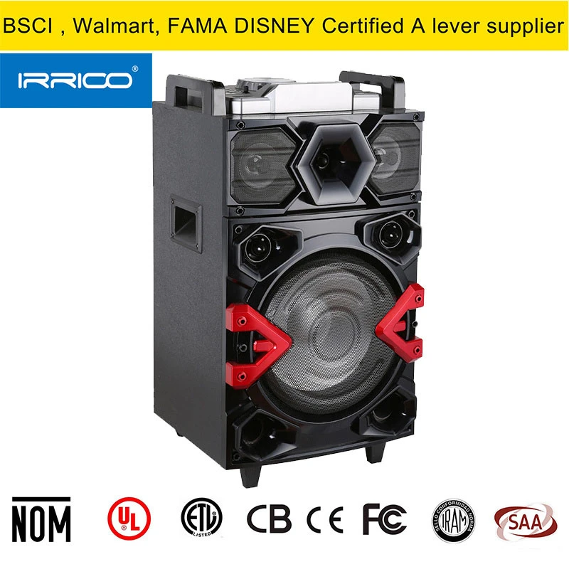 12 Inch Portable DJ Party Speaker with Bluetooth