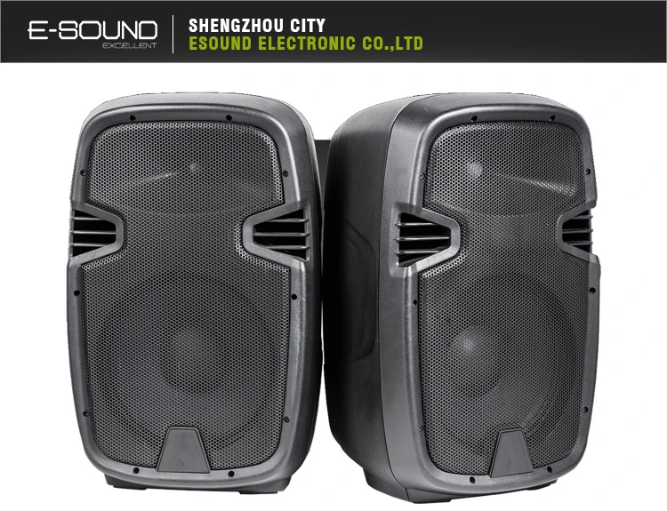 12 Inch Portable Music Speaker Box Ma12A-Ubf