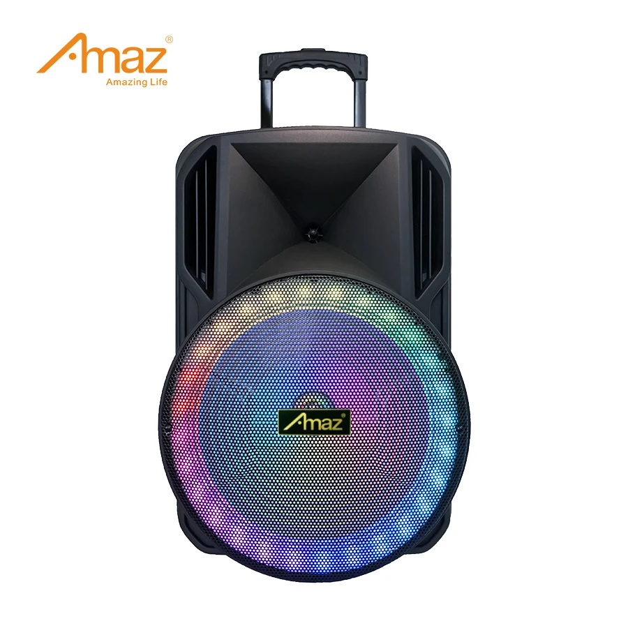 12 Inch Portable Professional Party Wireless Speaker