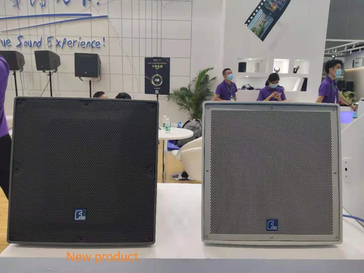 12 Inch Two-Way High Performance Indoor&Outdoor Audio Speaker