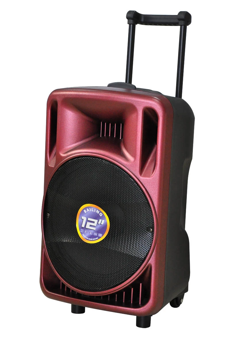 12 Inches 10 Inches Multifunctional Professional New Portable Speaker
