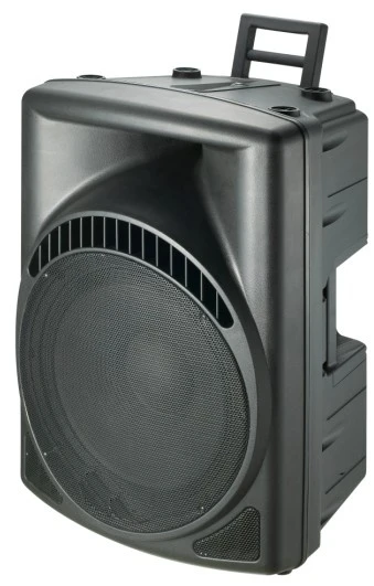 15” 2-Way PA Speaker Box/Plastic Speaker/ Cabinet