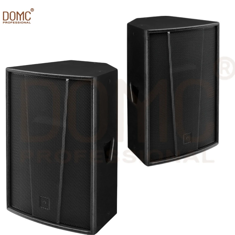 15-Inch Professional Audio Speaker Domc F15+ for Performances, Pubs, Stages