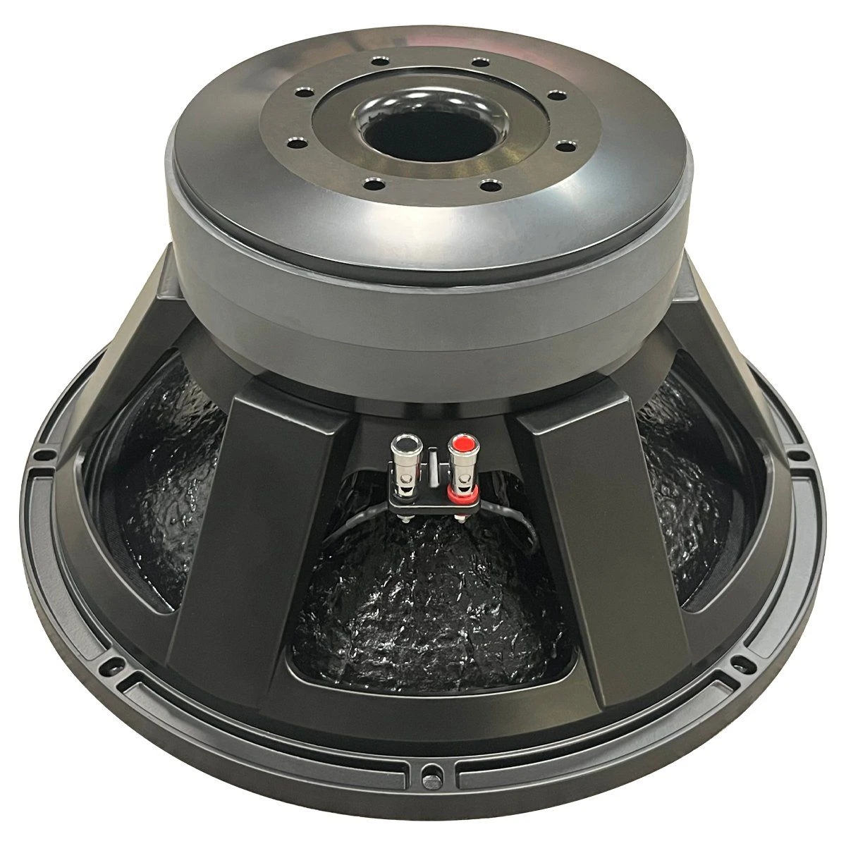 15 Inch Professional Power Speaker Double Magnets Max 2000W PA Speaker