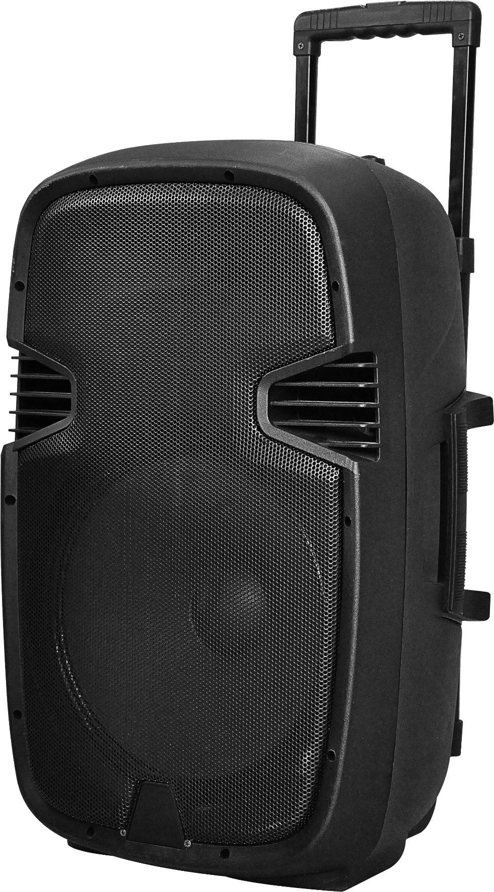 15 Inches Rechargeable Trolley Speaker with Cheap Sell
