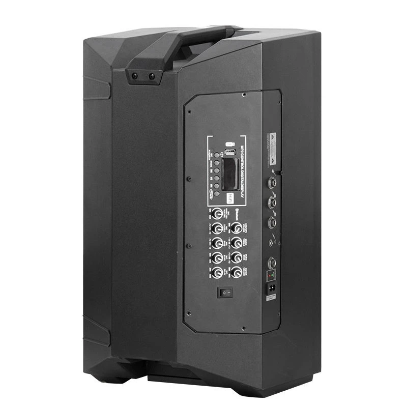 150W RMS Portable Speaker with DSP and MP3