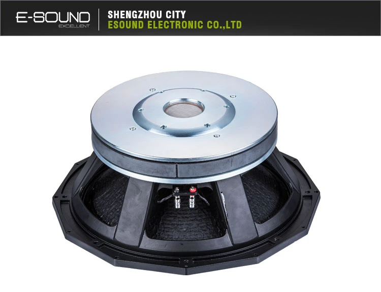 18″ 330mm Magnet PA Speaker