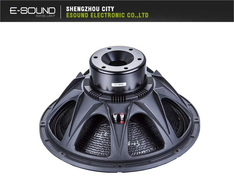 18″ High Quality Neodymium Speaker