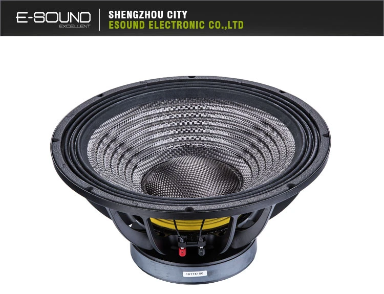 18 Inch High Quality Speaker