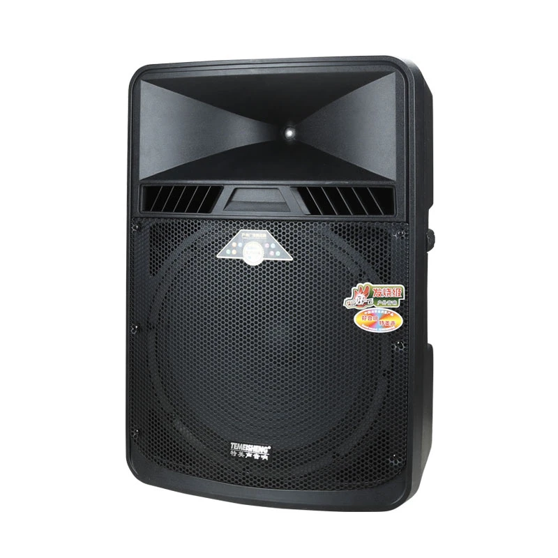 18 Inch Powerful Speaker SL18-05 Temeisheng Brand 18 Inch Bluetooth Active Speaker OEM Guangzhou