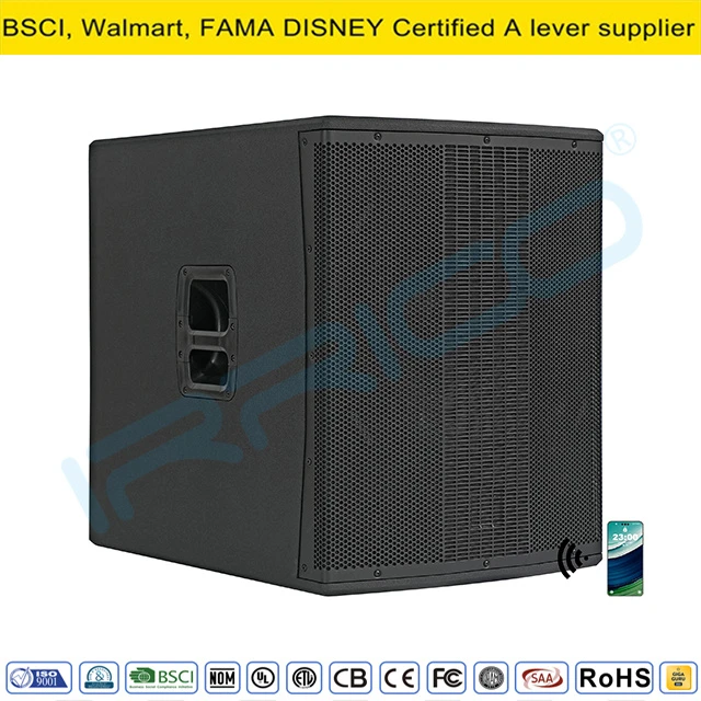 18 Inch Subwoofer DSP for Live Sound Playback DJ Concert Event