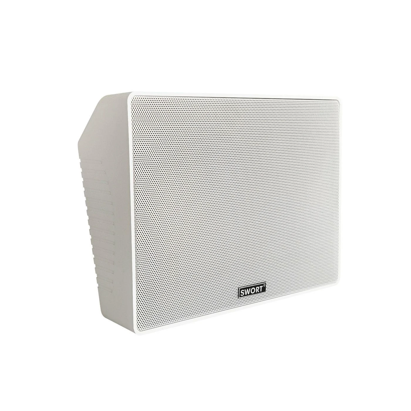 2-Way Wall Speaker for Public Address System