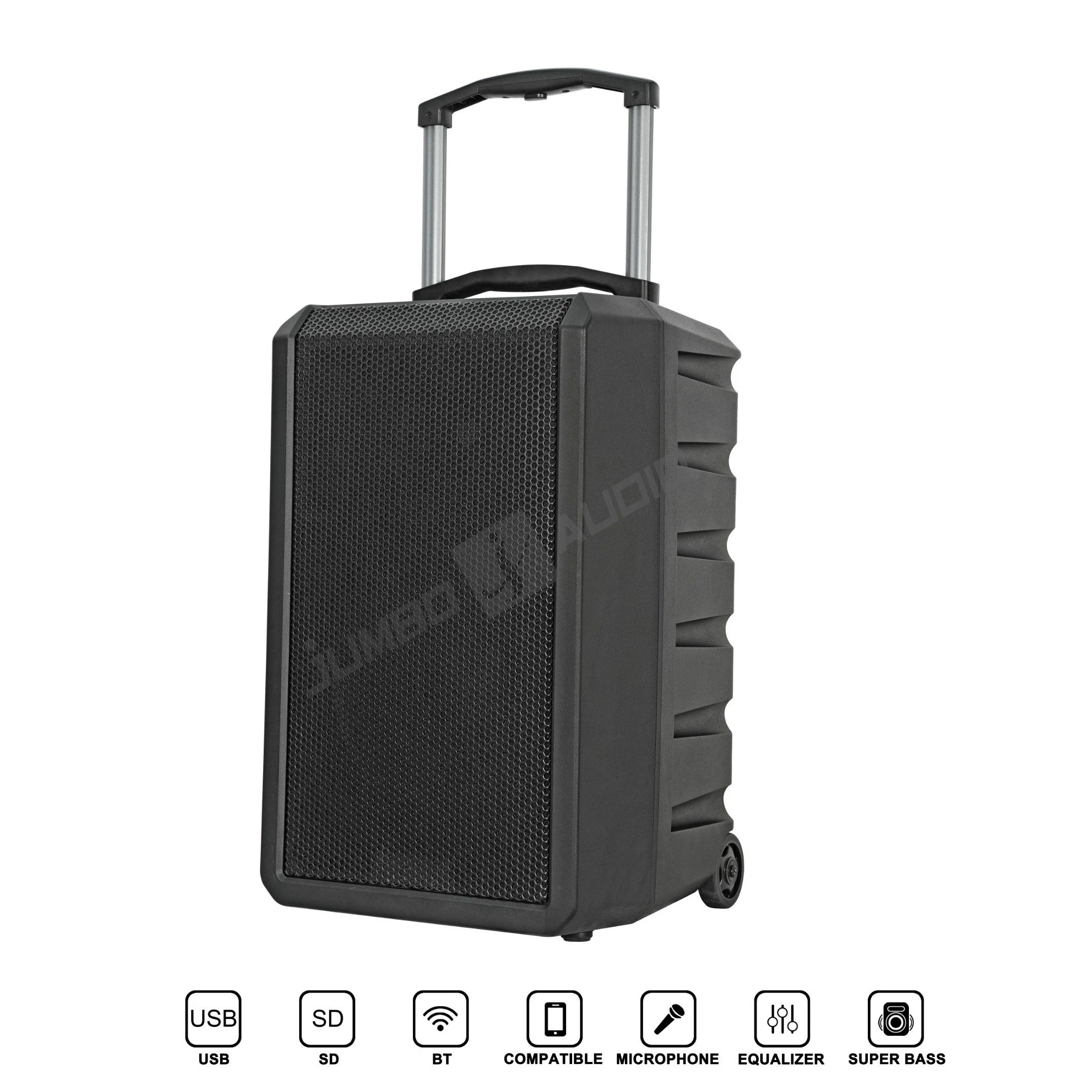 2000W 12inch Portable Trolley Karaoke Speaker, Bt/Tws/DSP, 2 UHF Wireless Mics-Rechargeable Battery Guitar Input for Party/Outdoor