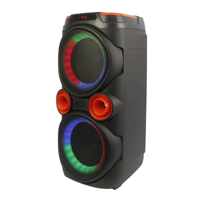 200W Dual 10 Inch Subwoofers Audio Speaker with Surround