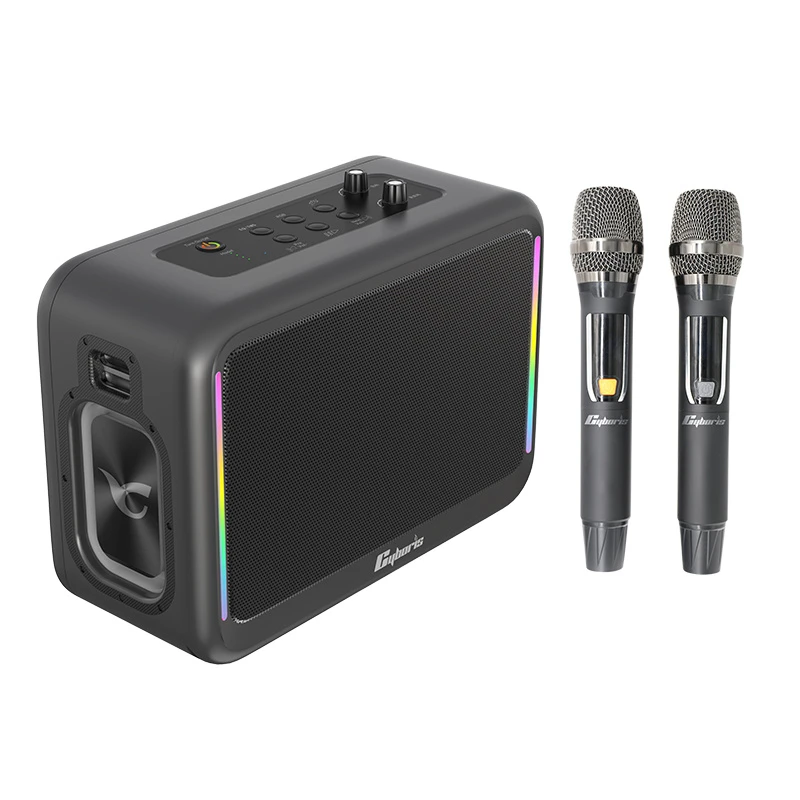 200W Karaoke Speaker System with Two Wireless Microphones, RGB LED Wireless Karaoke Speaker with Power Bank Function