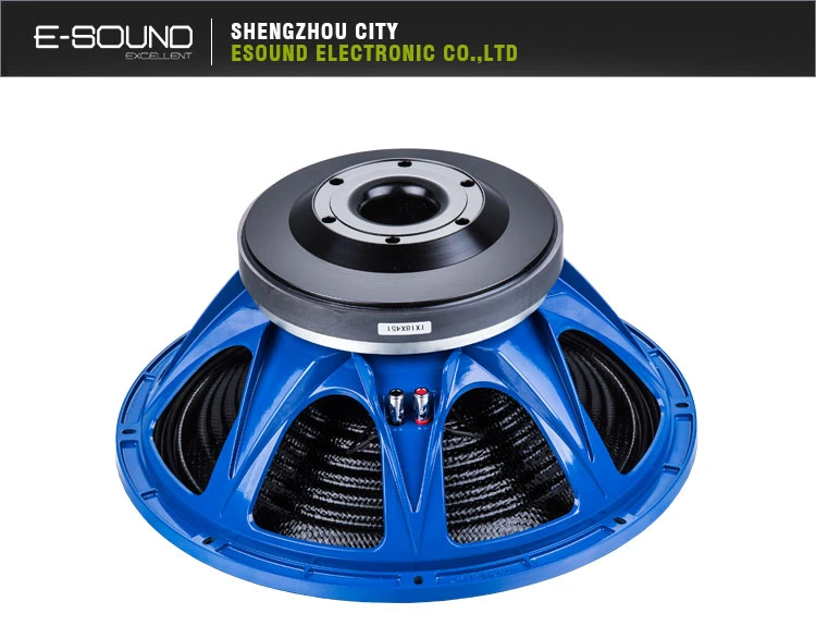 2018 Newest Design 18 Inch PA Speaker
