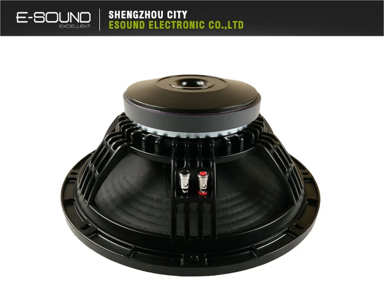 2018 Newest Design Professional 18 Inches PA Speaker