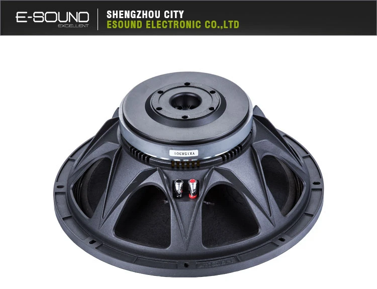 2018 Newest PA Speaker Design