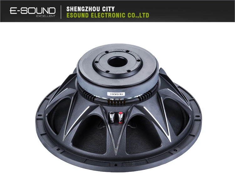 2018 Newest Professional Speaker Design