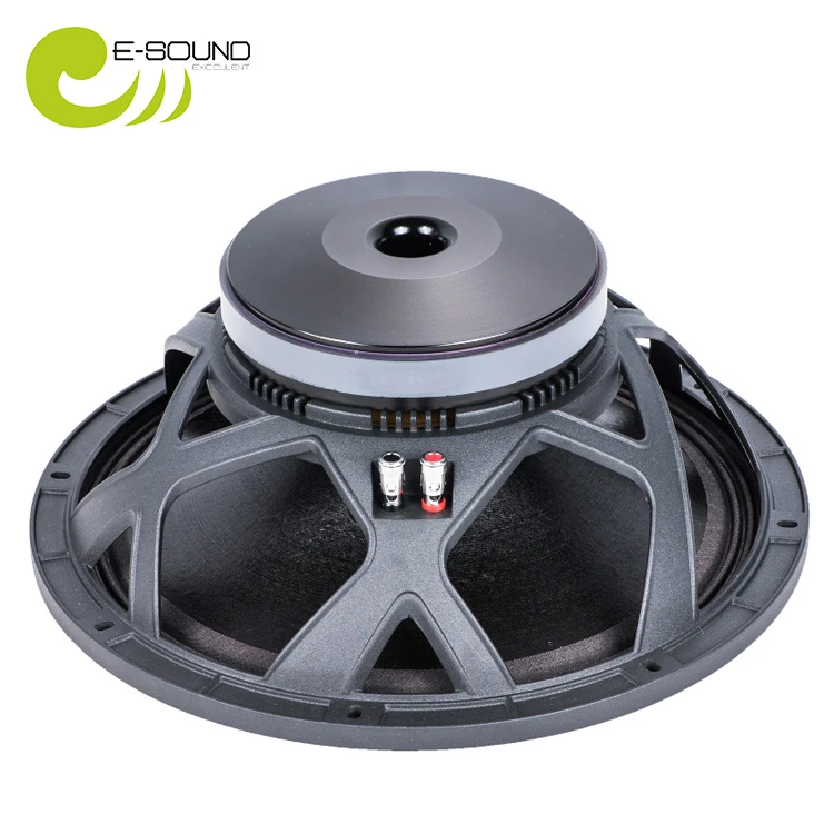 2019 Newest Degisn 12″ Speaker Bx12X301