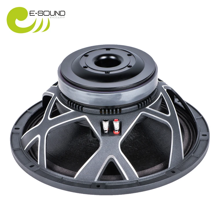 2019 Newest Degisn 12″ Speaker Bx12X351