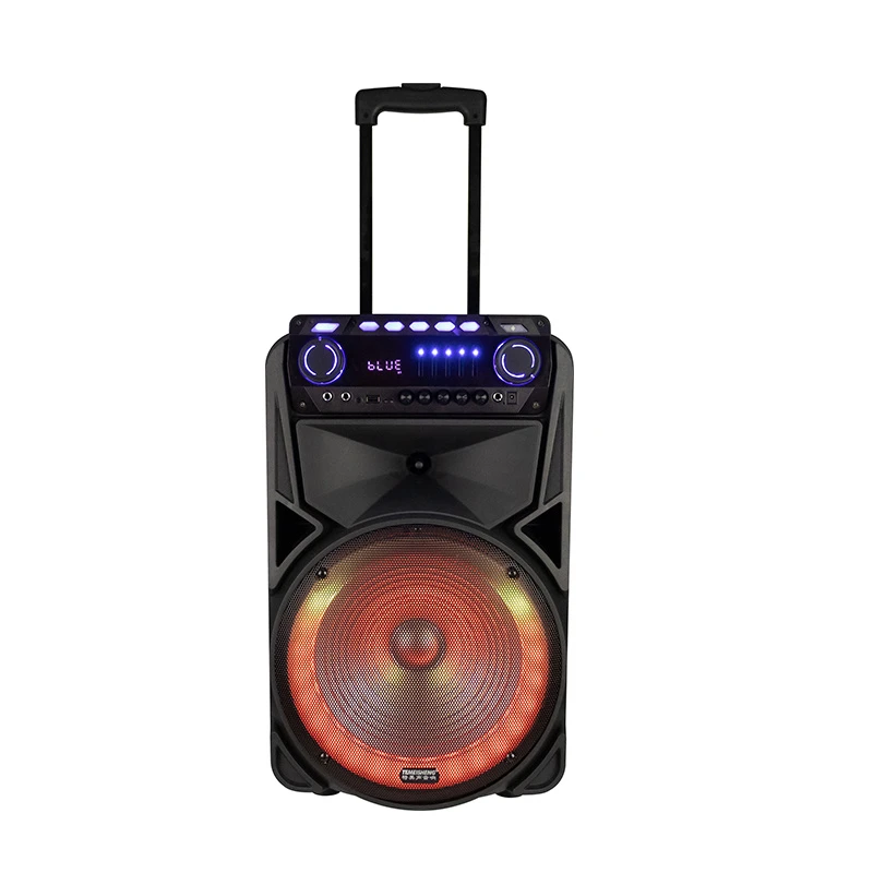 2021 Newest Bluetooth Speaker 12 Inch Karaoke Party Box Portable Plastic Active DJ Trolley Speaker with Built in Rechargeable Battery