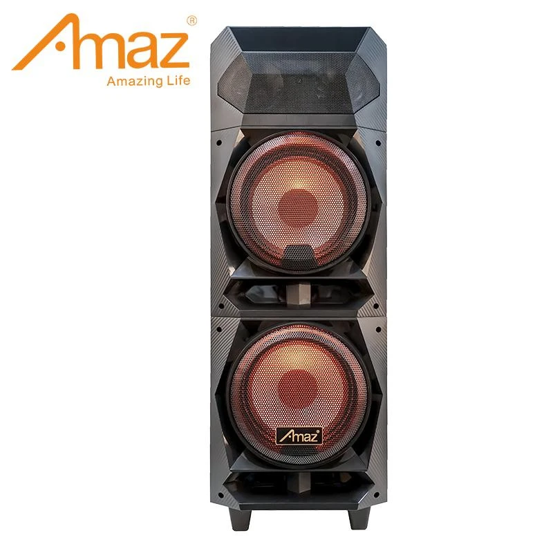 2022 Private Model Dual 8 Inch Professional Trolley Speaker