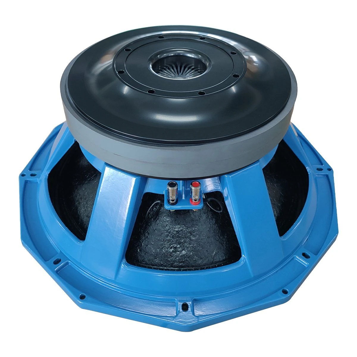 2024 Max Power Handling 2800W Sub Woofer Super Big Magnet 18inch Speaker