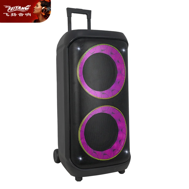 2026 Dual 10 Inch Karaoke Trolley Bass Amplified Speakers