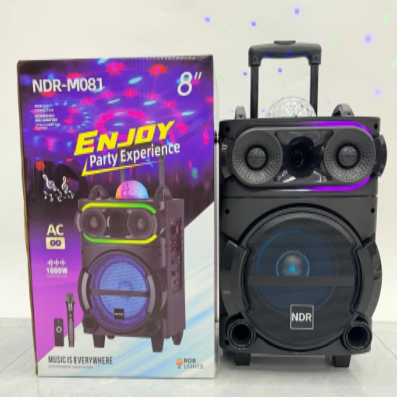 2026 New 8 Inch Woofer Trolley Portable Karaoke Wireless Bt Wooden Speaker with Flash Light
