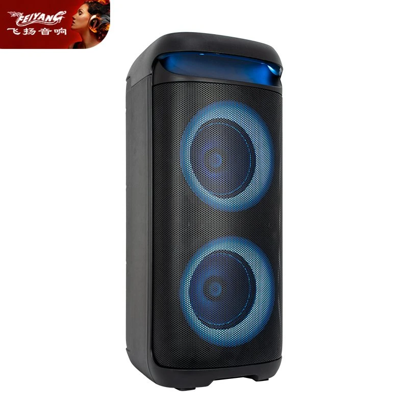 2026 New Design Dual 6.5 Inch Portable Bluetooth Audio LED Karaoke Speaker