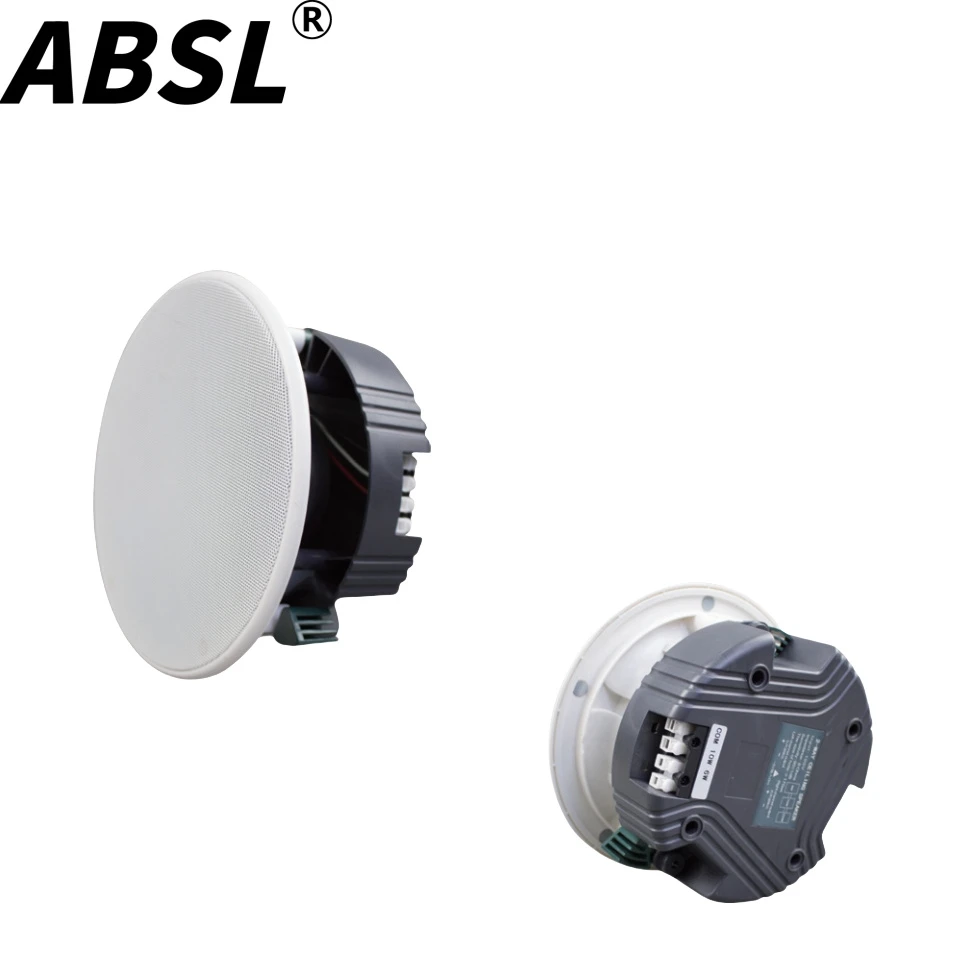 20W-30W 6.5” Coaxial PA Sound Music Ceiling Speaker with Tweeter for Egypt