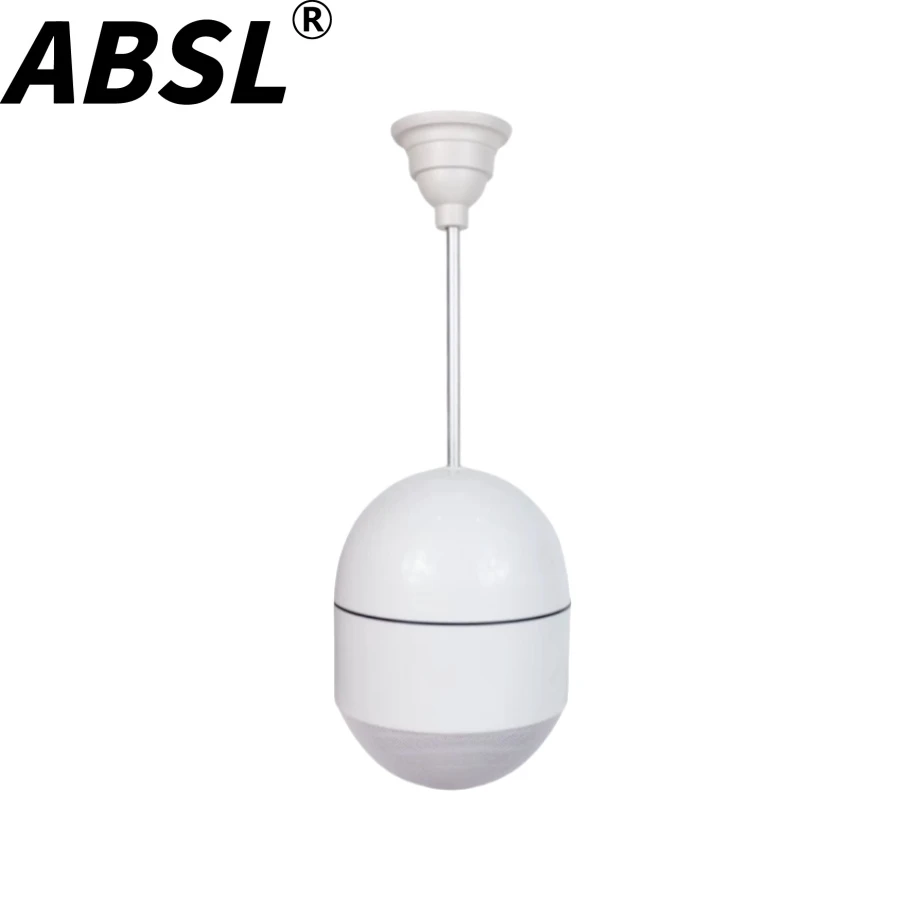 20W 5” Coaxial Indoor PA Pendant Music Speaker for Coffee Shop
