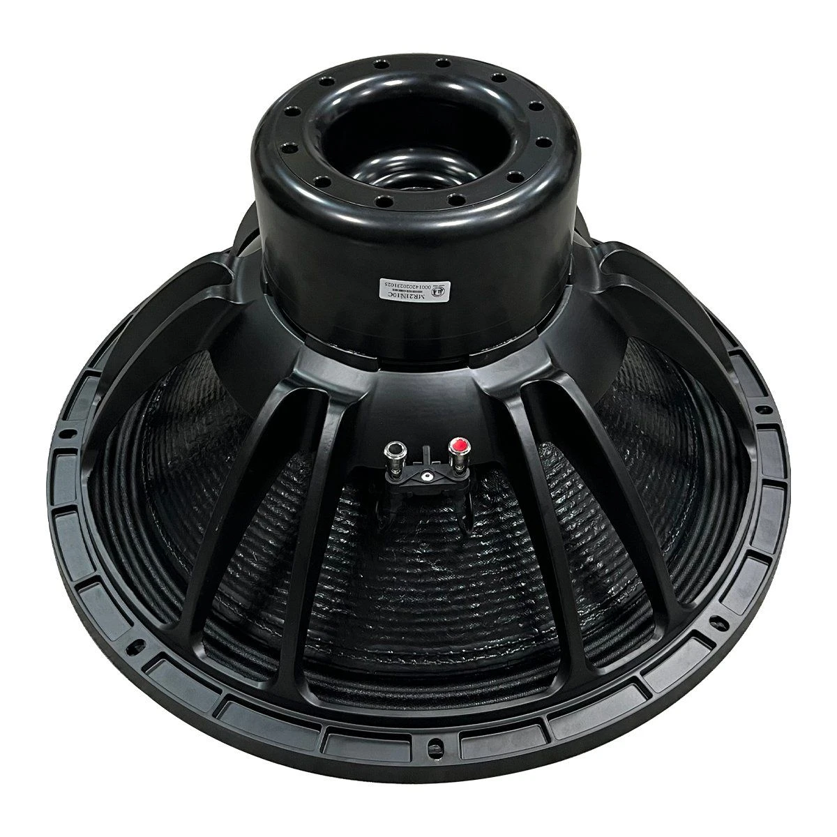 21 Inch Neodymium Woofer Speaker, 6 Inch Voice Coil Loudspeaker