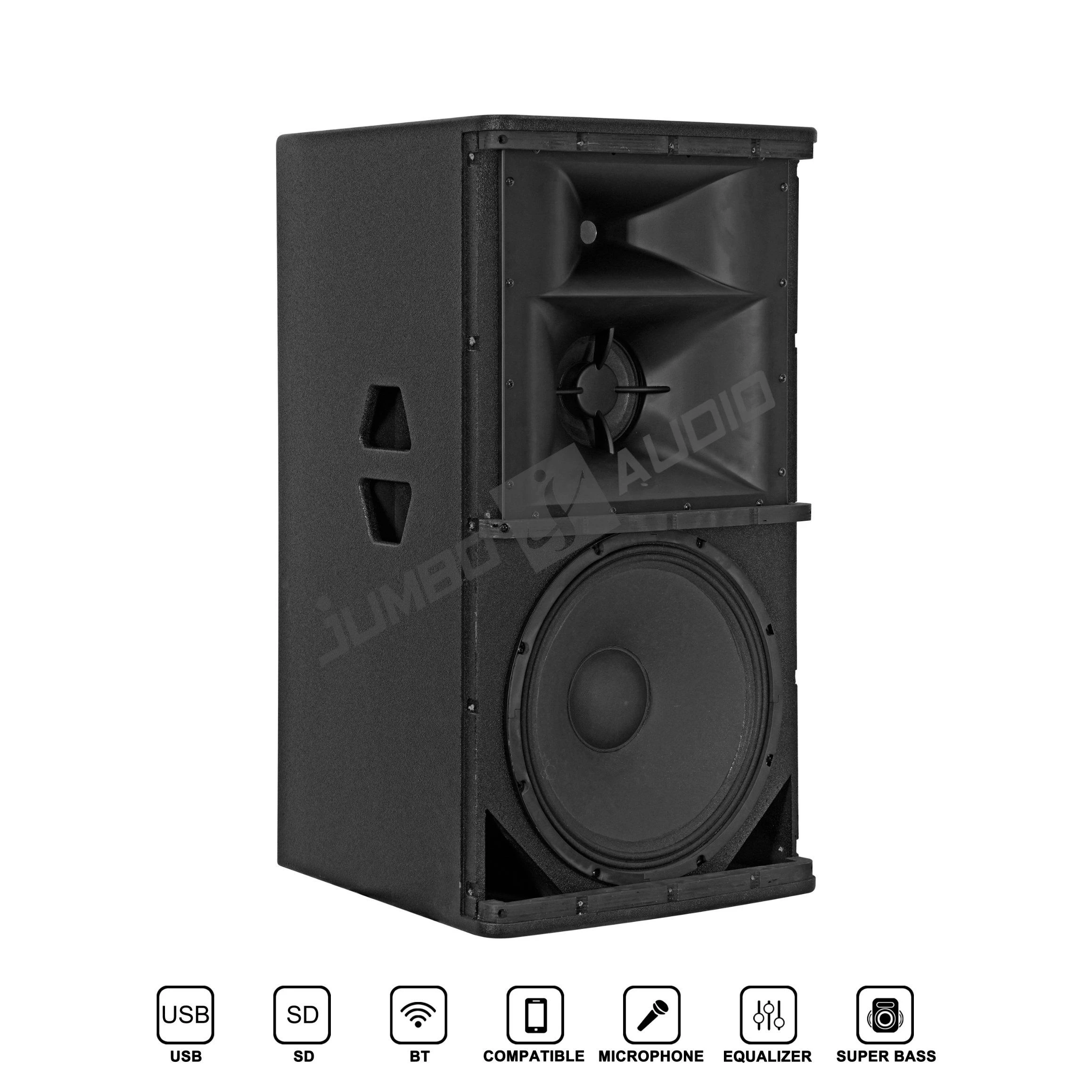 2400W Active 15 Inch 3-Way Professional Speaker Wooden with DSP USB Player Tws