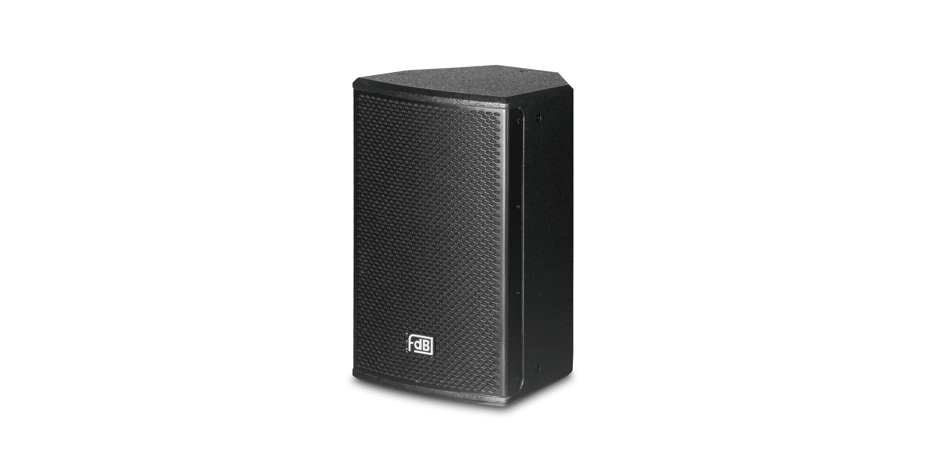 250W Single 10 Inch Wooden Two-Way Speaker