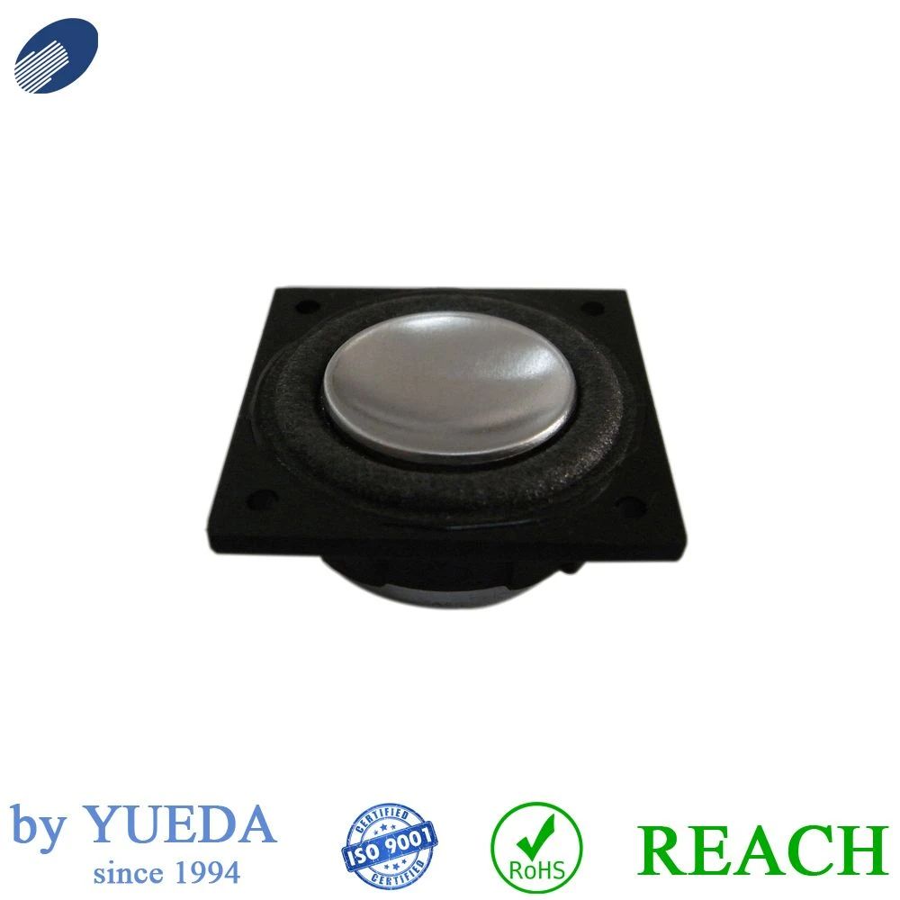28mm Square Full Range Speaker for Digital Speaker Box